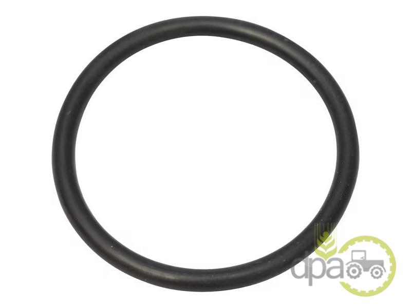 Oring hidraulic Ford 218774