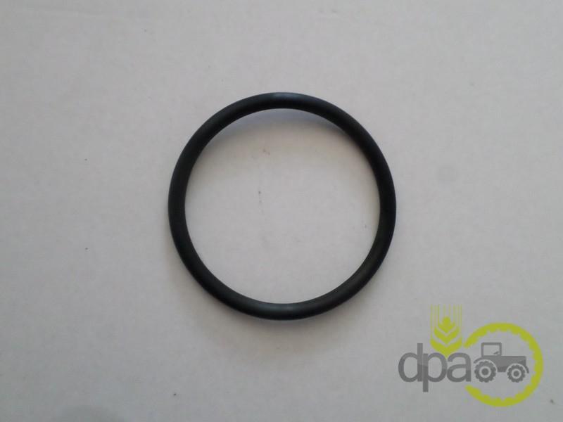 Oring priza putere Massey Ferguson 195522M1