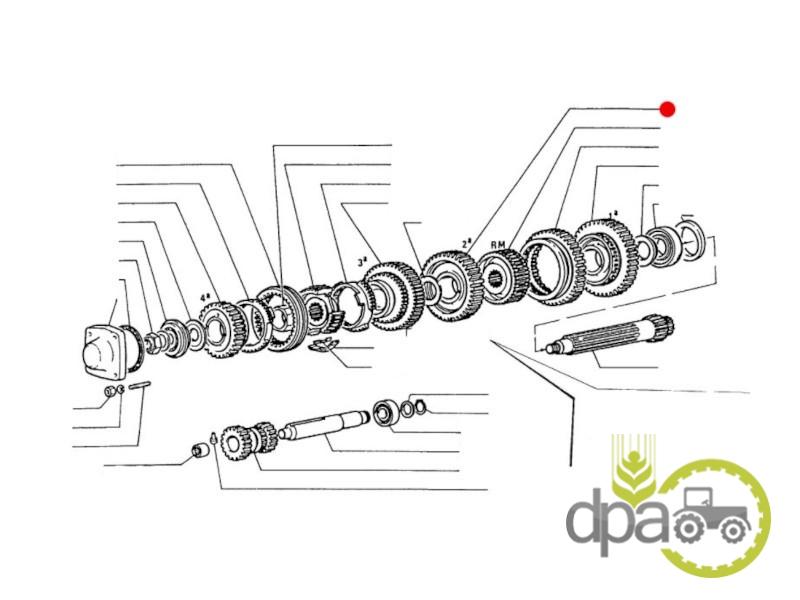 Pinion viteza 2 z41 Fiat 82982334
