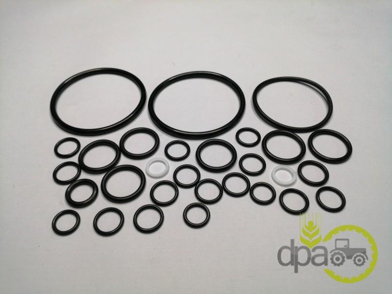Set garnituri pompa hidraulica Massey Ferguson 1810467M91