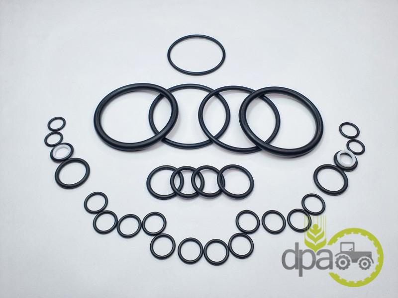 Set garnituri pompa hidraulica Massey Ferguson 1810467M91