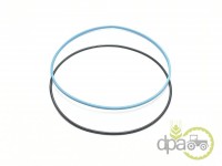 ORING PRIZA PUTERE (X2) Fiat