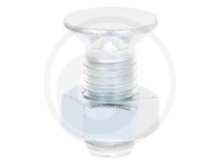 SURUB+PIULITA CUTIT PLUG