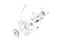 SIMERING PRIZA PUTERE Case IH