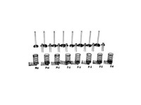 SET SUPAPE MOTOR Massey Ferguson