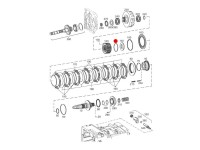 ORING AMBREIAJ TRANSMISIE Case IH