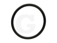 ORING 2X25MM