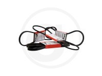 CUREA 8PK2274 Renault