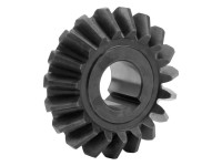 PINION Z19