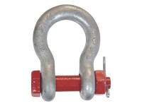 CHEIE TACHELAJ 22.1MM