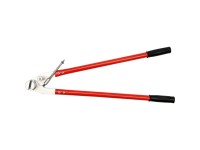 CLESTE INDOIRE BURLANE