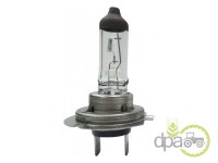 BEC H7 PX26D 24V 70W