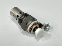 BUJIE INCANDESCENTA David Brown