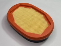 FILTRU AER INTERIOR Massey Ferguson