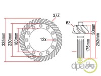 GRUP CONIC SPATE 6X37 Massey Ferguson