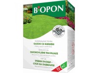 INGRASAMANT GAZON CONTRA BURUIENI 1KG Piese universale