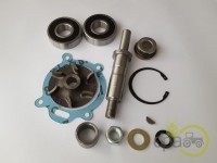 KIT REPARATE POMPA APA Landini