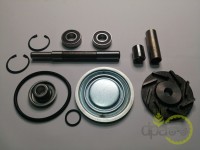 KIT REPARATIE POMPA APA Case IH