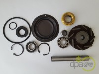 KIT REPARATIE POMPA APA Steyr