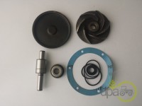 KIT REPARATIE POMPA APA Landini