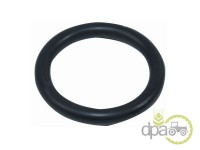 ORING 2.62X17.13MM