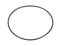 ORING 74X2MM deutz