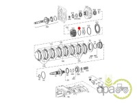 ORING AMBREIAJ TRANSMISIE Case IH