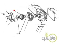 PINION CUPLARE POMPA HIDRAULICA Fiat