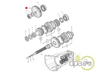 PINION CUTIE VITEZA Massey Ferguson