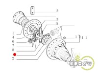 PINION DIFERENTIAL SPATE Fiat