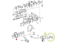 PINION POMPA HIDRAULICA Ford