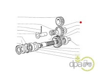 PINION PUNTE FATA Fiat