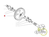 PINION REDUCTOR SPATE Fiat