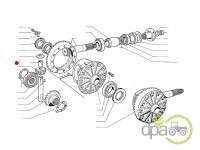 PINION SATELIT DIFERENTIAL FATA Fiat