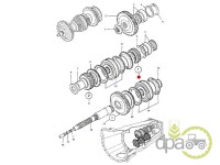 PINION VITEZA 1 Massey Ferguson