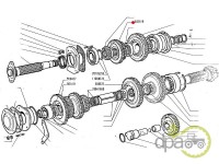 PINION VITEZA 2-3 Fiat