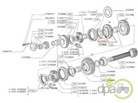 PINION VITEZA 3 Z41 Fiat