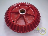 PINION Z37