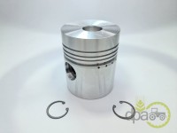 PISTON MOTOR Massey Ferguson