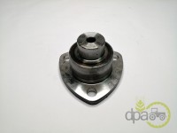 PIVOT Fiat