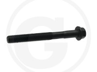 PREZON CHIULASA Ford