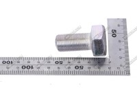 PREZON ROATA FATA Same