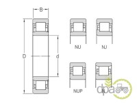 RULMENT 55X100X21