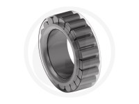 RULMENT PINION SATELIT FATA Fendt