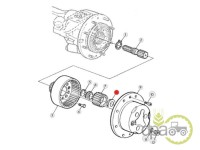 RULMENT PINION SATELIT FATA Deutz