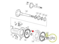 RULMENT PLANETARA SPATE John Deere