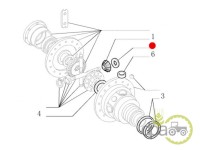 SAIBA SATELIT DIFERENTIAL SPATE Fiat