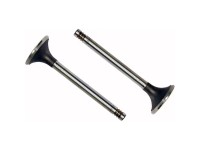 SUPAPA ADMISIE Fendt