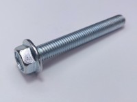 SURUB 10X75X1.5