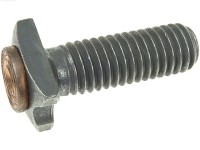 SURUB ELECTROMOTOR
